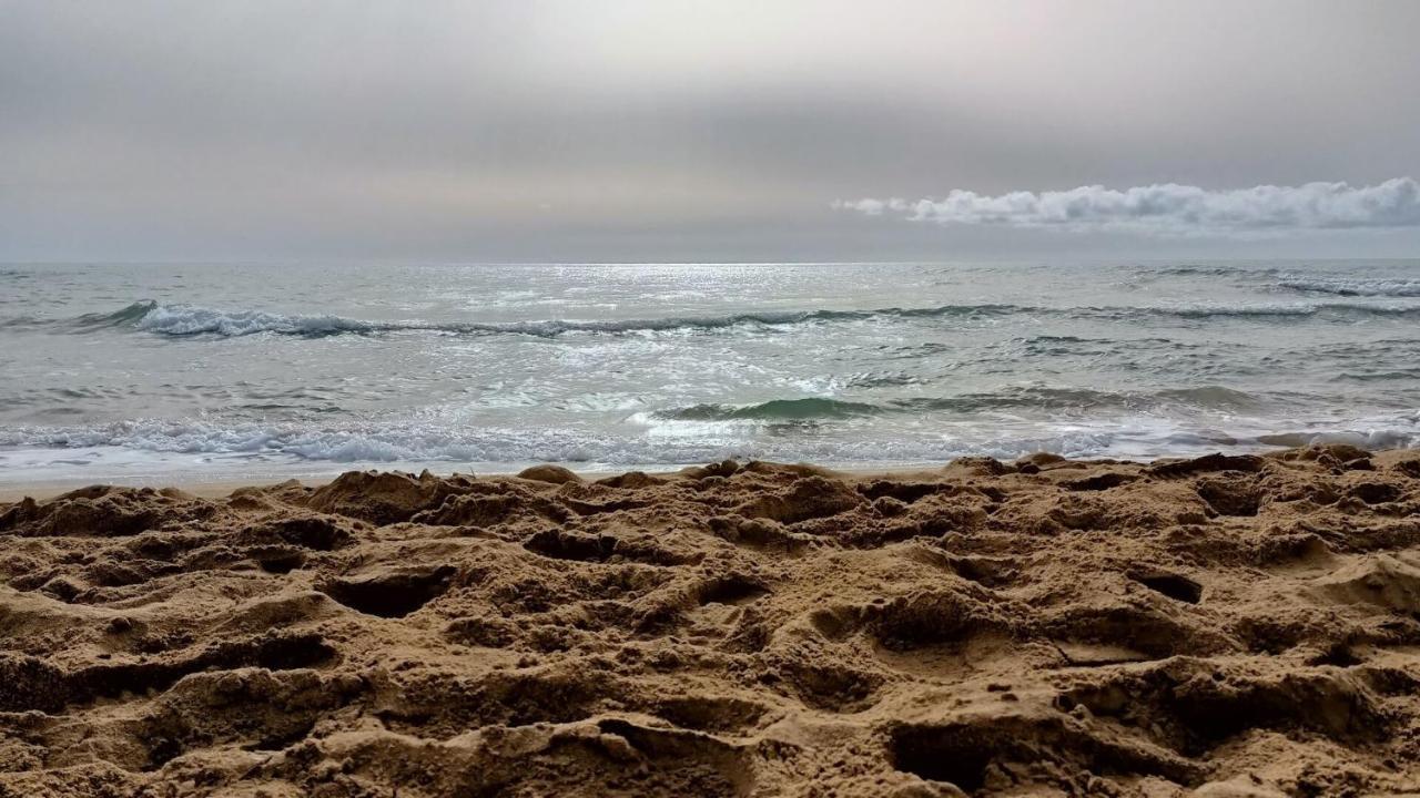 Apartamento Bella Vista - Aqua Nature La Mata ラ・マタ エクステリア 写真